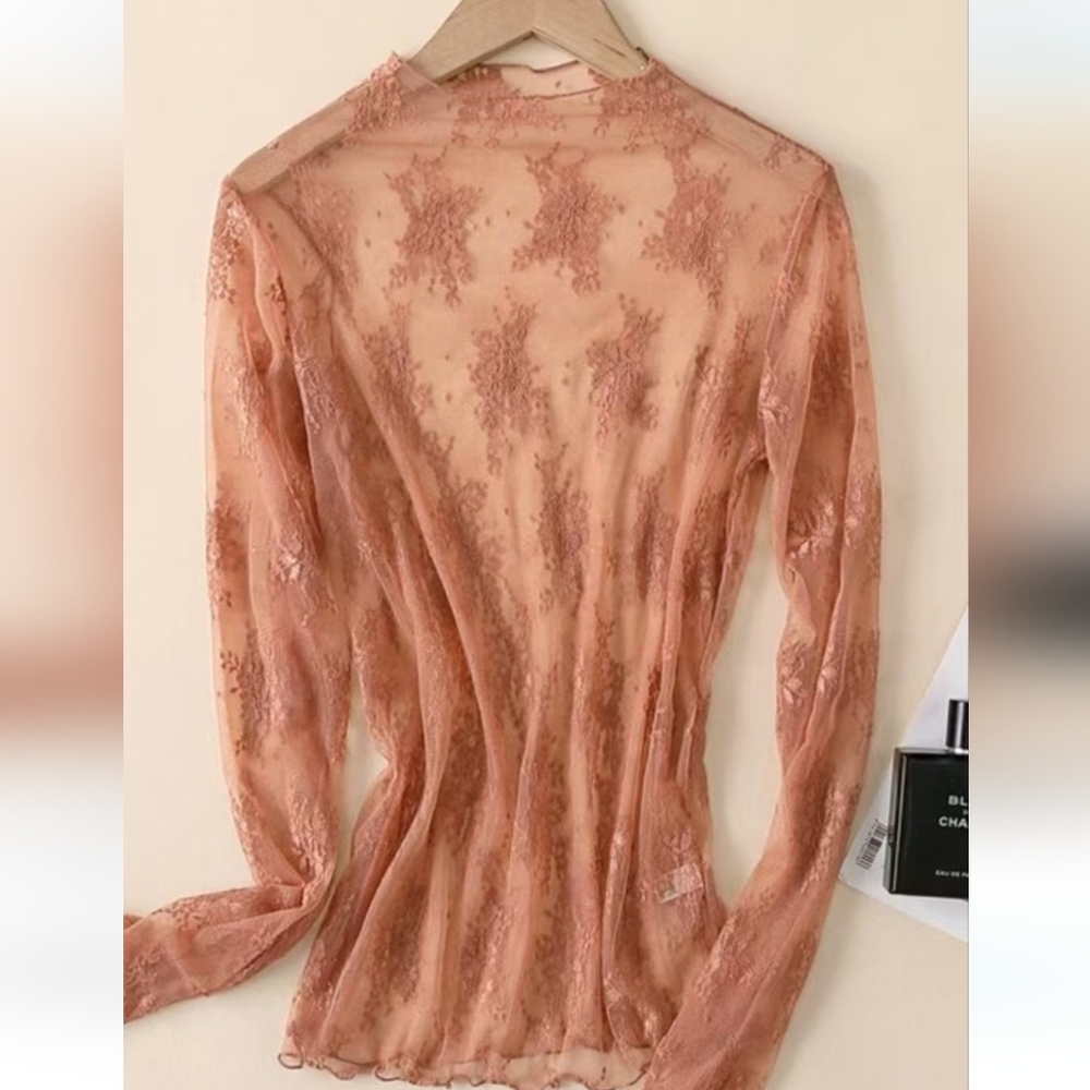 Sheer Lace Mesh Layering Top Brick Red